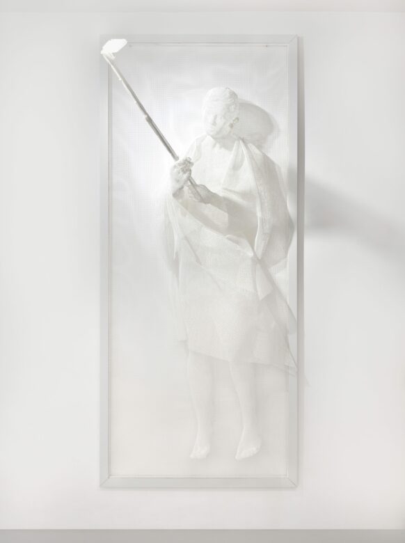 Grillage plastique thermoformé / Thermoshaped plastic mesh 250 x 100 cm (98 3/8 x 39 3/8 in.)