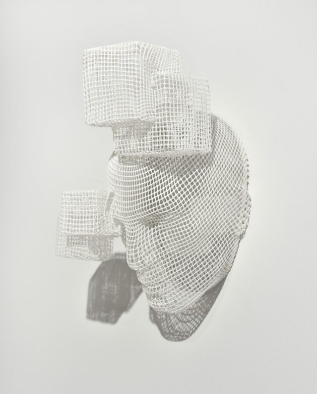 Grillage plastique thermoformé, miroir / Thermoshaped plastic mesh, mirror 30 x 20 x 15 cm (11 3/4 x 7 7/8 x 5 7/8 in.)