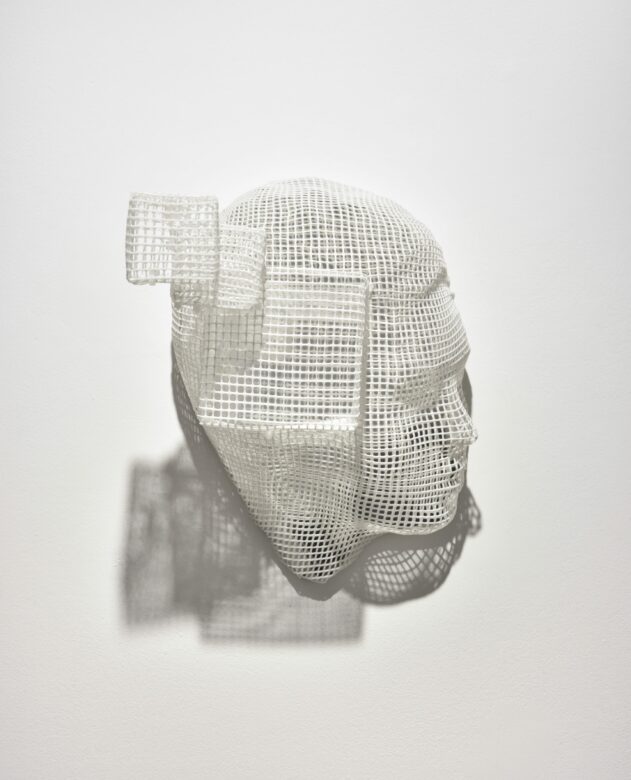 Grillage plastique thermoformé, miroir / Thermoshaped plastic mesh, mirror 30 x 20 x 15 cm (11 3/4 x 7 7/8 x 5 7/8 in.)