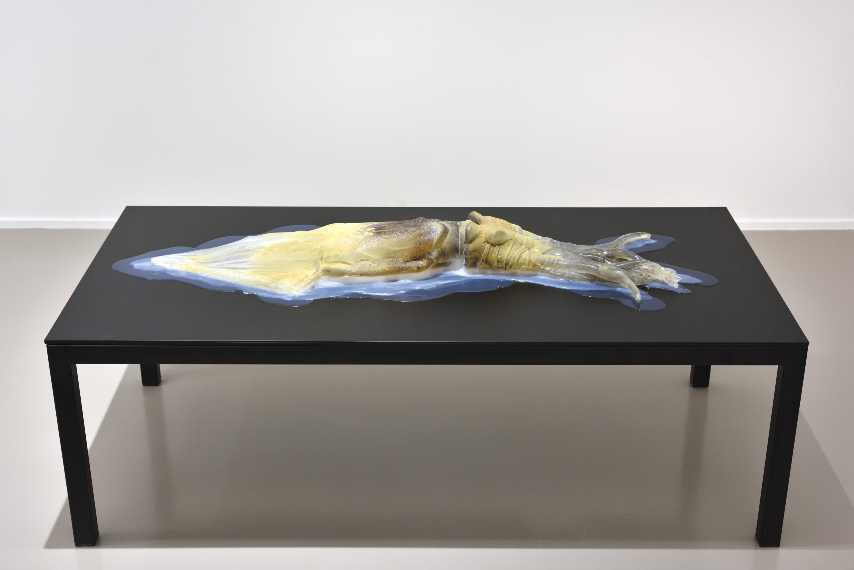 Verre, silicone, socle en métal / Glass, silicone, powder coated metal plinth 39 x 100 x 30 cm (15 3/8 x 39 3/8 x 11 3/4 in.) 56 x 125 x 70 cm (22 x 49 1/4 x 27 1/2 in.) Socle / Plinth