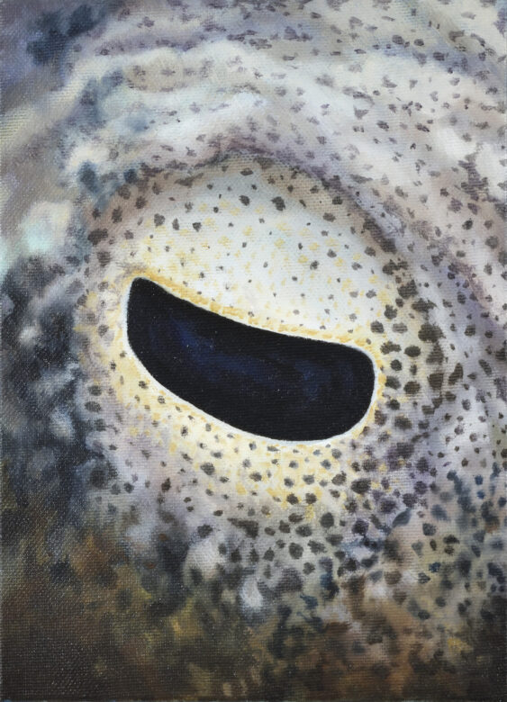 Huile sur toile / Oil on canvas 22 x 16 cm (8 5/8 x 6 1/4 in.) Photo : Rebecca Fanuele