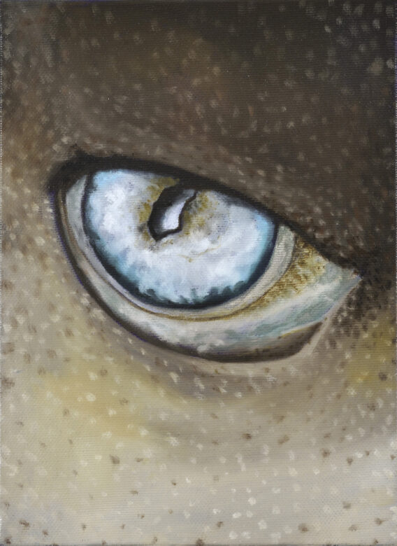 Huile sur toile / Oil on canvas 22 x 16 cm (8 5/8 x 6 1/4 in.) Photo : Rebecca Fanuele