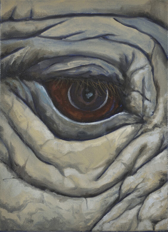 Huile sur toile / Oil on canvas 22 x 16 cm (8 5/8 x 6 1/4 in.) Photo : Rebecca Fanuele