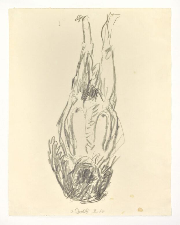 Crayon sur papier / Pencil on paper 64,5 x 50,8 cm (25 3/8 x 20 in.) Photo : Rebecca Fanuele