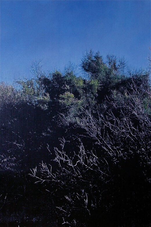 Huile sur toile / Oil on canvas 195 x 130 cm (76 3/4 x 51 1/8 in.)