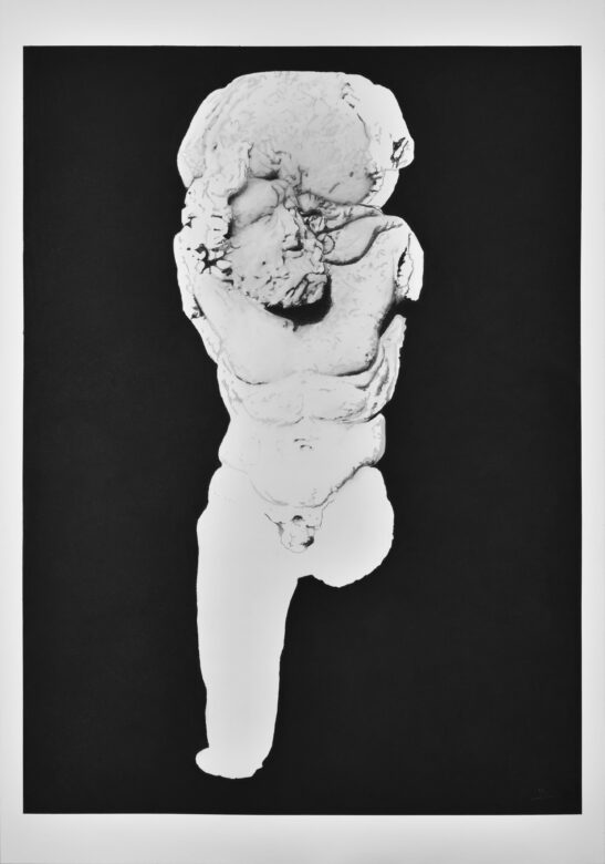 Dessin aux pigments naturels et fusains, papier Canson 224 g/m2 / Drawing with natural pigments and charcoal on Canson paper 224 g/m2 130 x 95 cm (51 1/8 x 37 3/8 in.) 133 x 98 cm (52 3/8 x 38 5/8 in.) encadré / framed