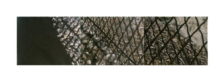 Huile sur toile / Oil on canvas Huile sur toile / Oil on canvas 50 x 65 cm (19 5/8 x 25 5/8 in.) chaque tableau / each paintings