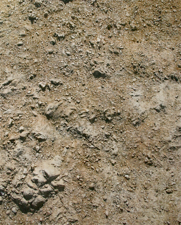 Huile sur toile / Oil on canvas 162 x 130 cm (63 3/4 x 51 1/8 in.)