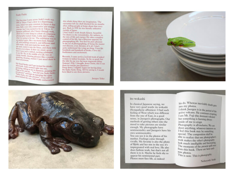 Impression jet d’encre, diptyque / Giclee print, dyptich 40,64 x 50,8 cm (16 x 20 in.) (20 x 16 in.) chacun / each Edition de / of 5 + 2 AP