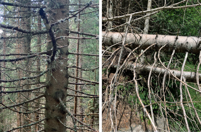 Impression jet d’encre, diptyque / Giclee print, dyptich 76,2 x 55,88 cm (30 x 22 in.) chacun / each Edition de / of 5 + 2 AP