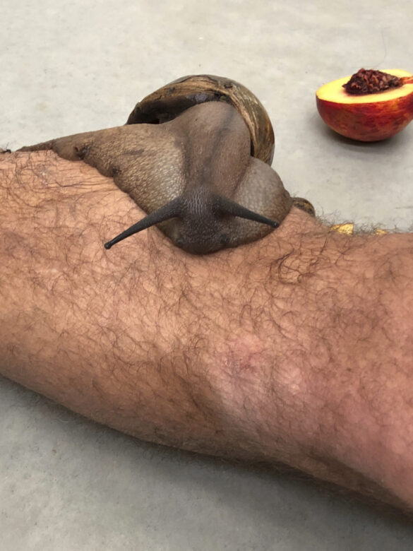 Tirage giclee / Giclee print 25,4 x 20,32 cm (10 x 8 in.) Edition de / of 5 + 2 AP