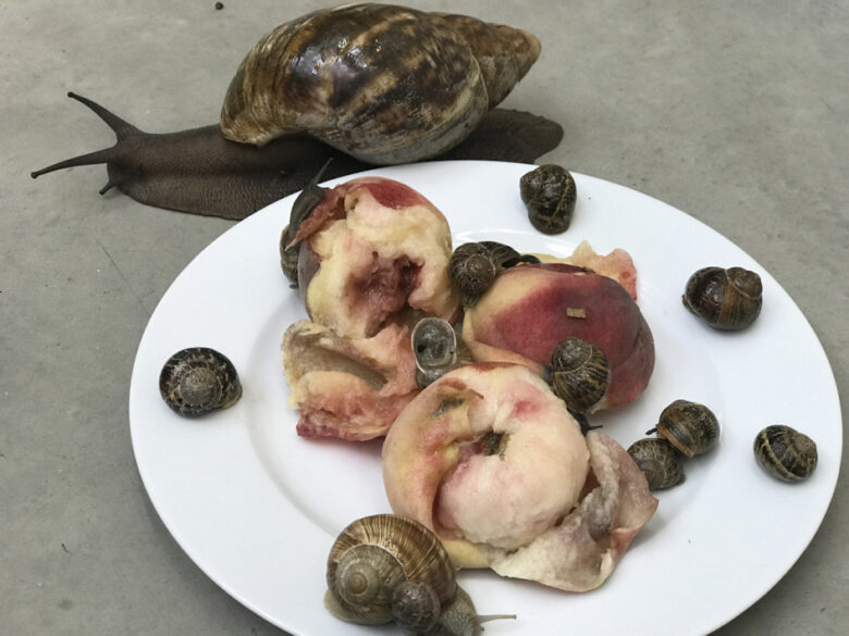 Tirage giclee / Giclee print 20,32 x 25,4 cm (8 x 10 in.) Edition de / of 5 + 2 AP