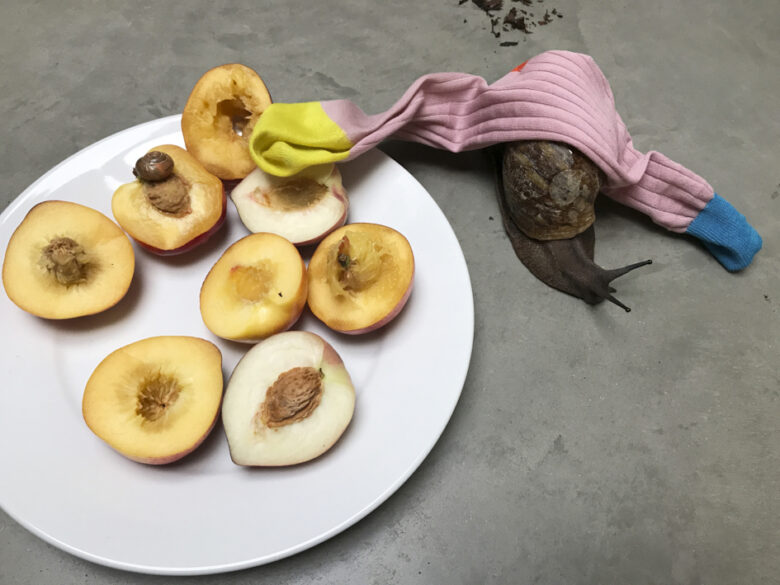 Tirage giclee / Giclee print 20,32 x 25,4 cm (8 x 10 in.) Edition de 5 + 2 AP