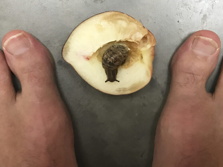 Tirage giclee / Giclee print 20,32 x 25,4 cm (8 x 10 in.) Edition de 5 + 2 AP