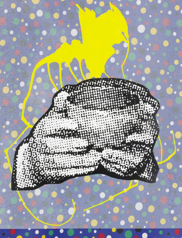 Sérigraphie couleur et laque sur tissu imprimé / Colour serigraph and lacquer on printed fabric 90 x 70 cm (353/8x271/2in.) POL/G 4250/11