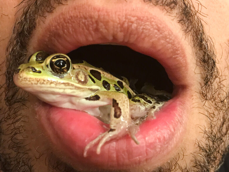 Tirage giclee / Giclee print 152,4 x 228,6 cm (60 x 90 in.) Edition de / of 3 + 2 AP