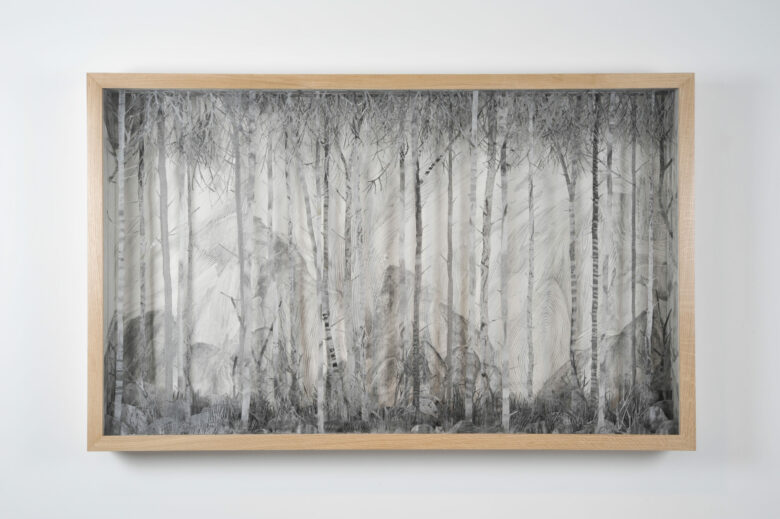 Mine de plomb sur papier et papier calque / Graphite on paper and tracing paper 82 x 132 x 12,5 cm (32 1/4 x 52 x 4 7/8 in.) encadré / framed