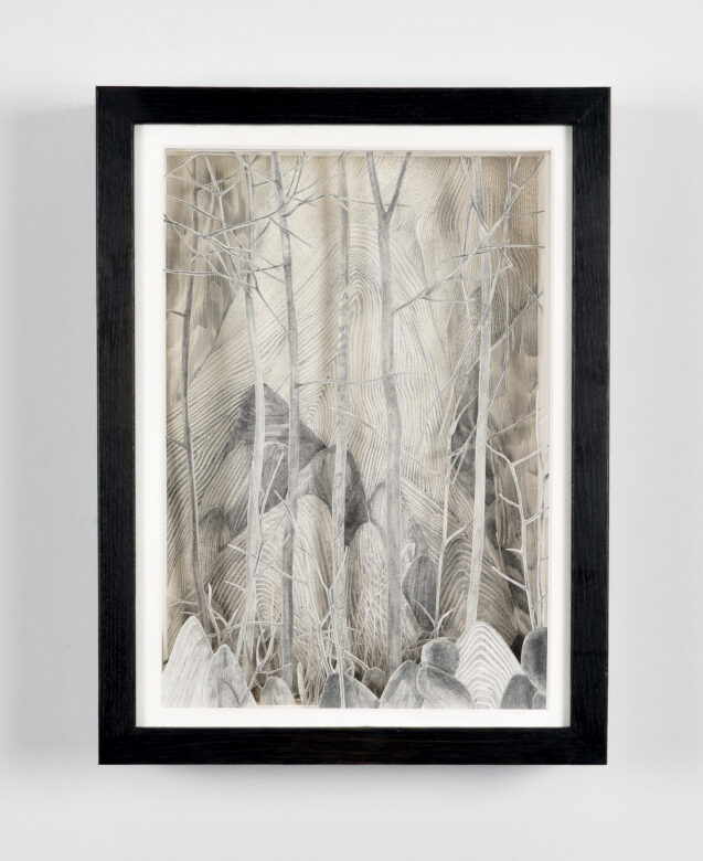 Mine de plomb sur papier et papier calque / Graphite on paper and tracing paper 39,5 x 29,5 x 10 cm (15 1/2 x 11 5/8 x 3 7/8 in.) encadré / framed