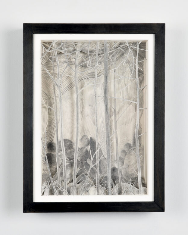 Mine de plomb sur papier et papier calque / Graphite on paper and tracing paper 39,5 x 29,5 x 10 cm (15 1/2 x 11 5/8 x 3 7/8 in.) encadré / framed