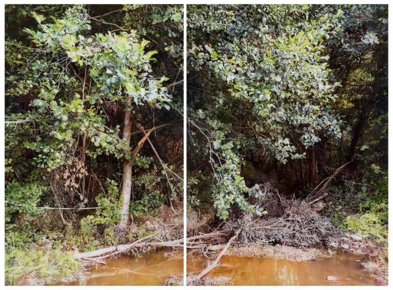 Diptyque, huile sur plexiglas / Diptych, oil on plexiglass 190 x 255 cm (74 3/4 x 100 3/8 in.)