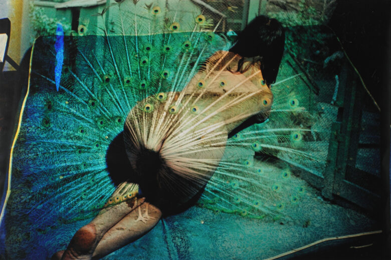 C-Print 118 x 158 cm Edition de / of 5