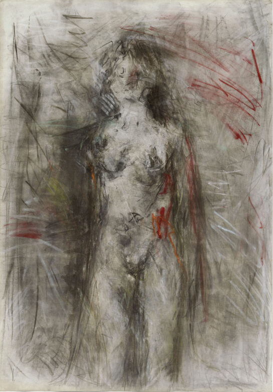 Fusain et craie sur papier / Charcoal and chalk on paper 108 x 75 cm (42 1/2 x 29 1/2 in.) LRZ 331/00