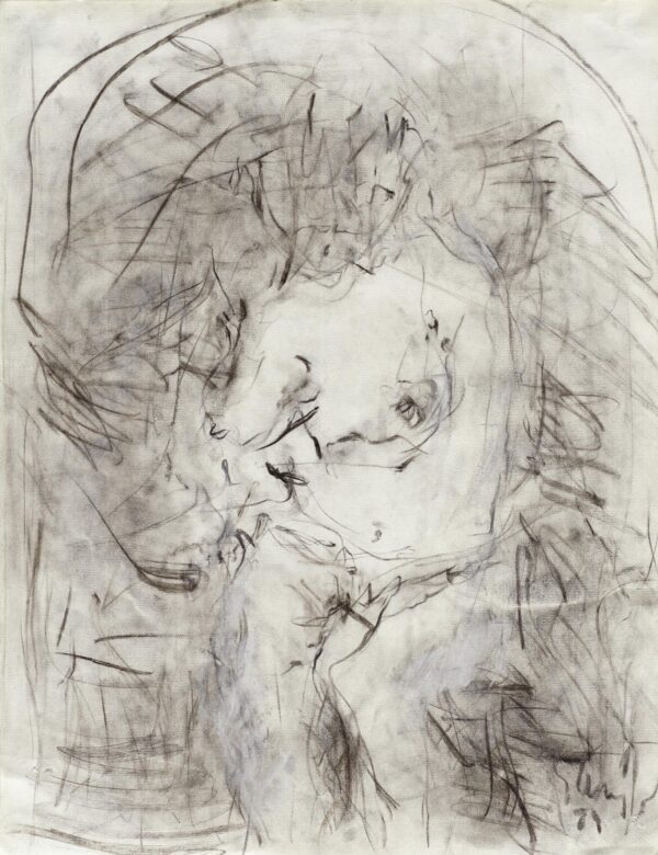 Fusain sur papier / Charcoal on paper 64,8 x 50 cm (25 1/2 x 19 5/8 in.) LRZ 52/00