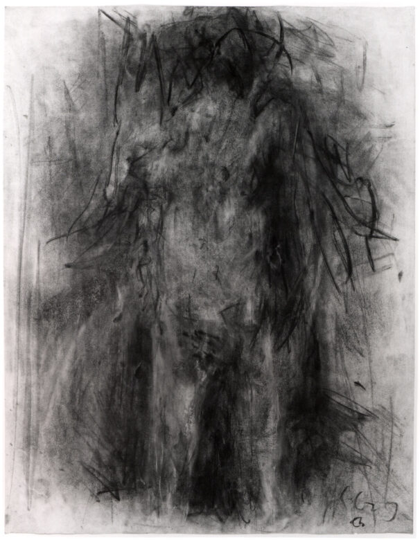 Fusain et pastel sur papier / Charcoal and pastel on paper 64,8 x 50 cm (25 1/2 x 19 5/8 in.)